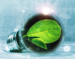 Als Zeichen für grüne Energie ist in einer Glühbirne ein Blatt dargestellt.