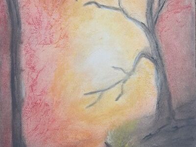 15.11.2025 15.11.2025