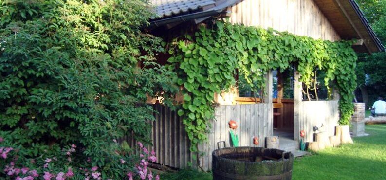 Ein kleines Haus im grünen Garten. 