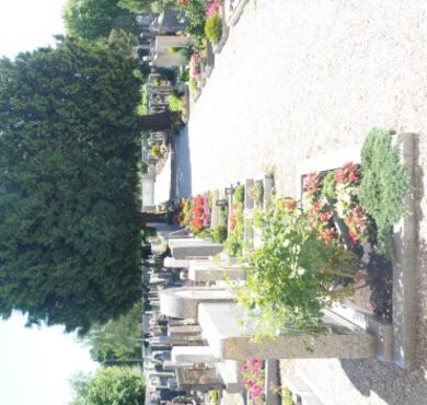 csm_friedhof-a-altoetting-foto-stadt-1-385x370_9fc89b74e8 csm_friedhof-a-altoetting-foto-stadt-1-385x370_9fc89b74e8