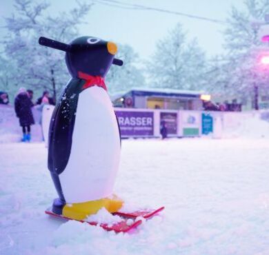 Synthetik-Eisbahn Bahnhofplatz, Kreisstadt Altötting, Foto: Julian Spilker Ein Pinguin als Schlittschuh-Hilfe auf der hochmodernen Synthetik-Eisbahn am Bahnhofplatz!