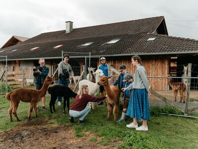 Eine Gruppe Menschen streichelt Alpakas auf einem Hof.