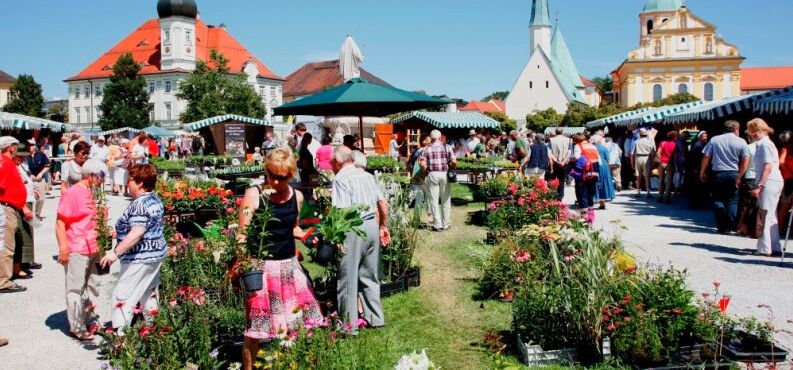 Märkte am Kapellplatz