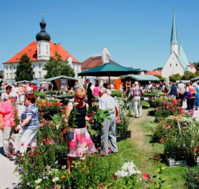 Märkte am Kapellplatz