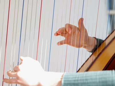 Berufsfachschule für Musik, Adventskonzert, Forum Altötting, Bild Stefan Gast Eine Frau spielt Harfe.