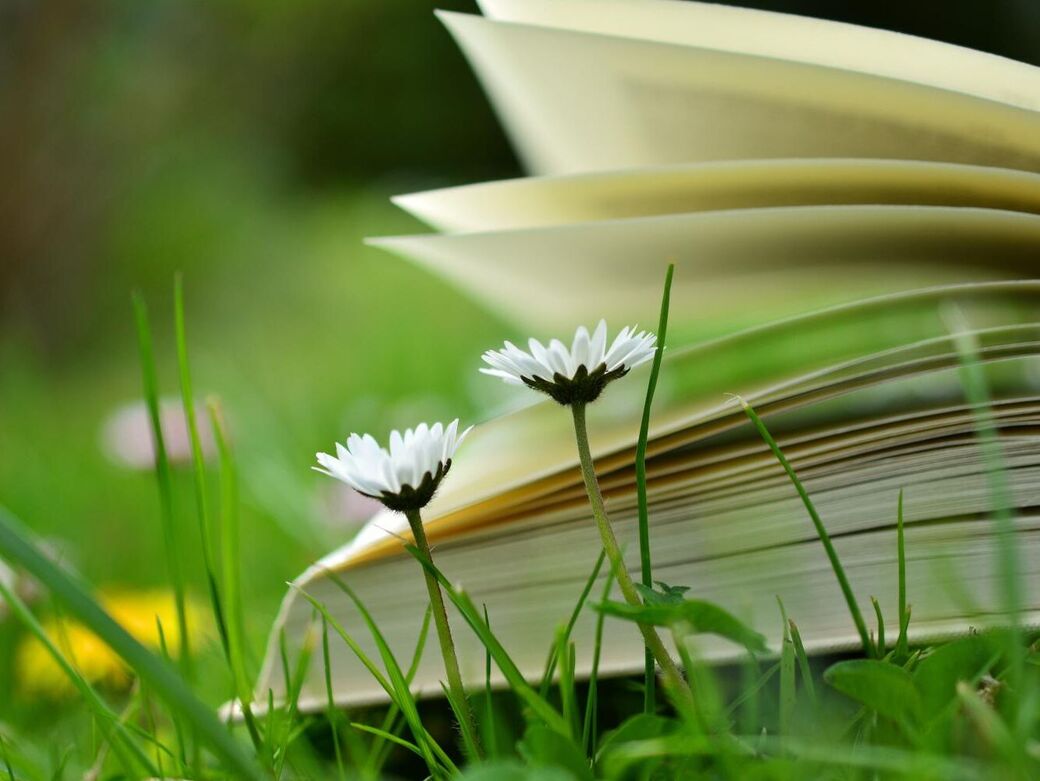 2026-10-13_Von_der_Idee_zum_Buch__c_congerdesign_pixabay_pbs