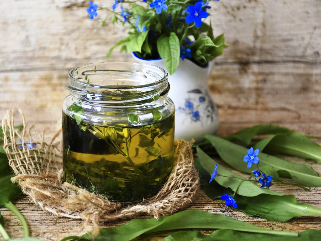 2026-05-09-Holz_macht_Sachen-Sinnesreise-Foto_pixabay-wild-garlic-5056253_1040x780