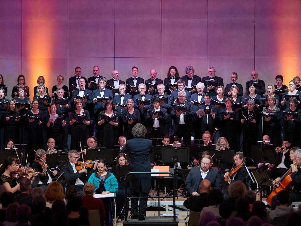 Der Euregio Oratorienchor steht auf einer grünen Wiese.  
