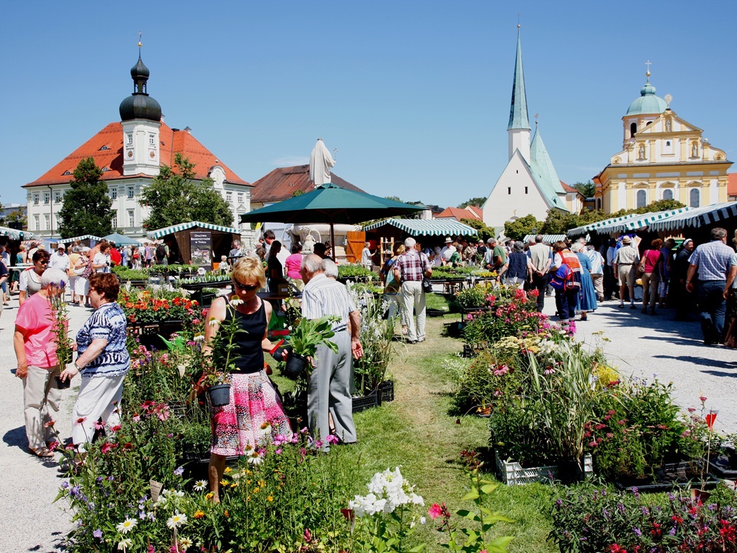 Blumen und Kräuter auf einem Markt.