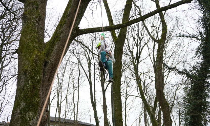 Jugendarbeit der Städte Altötting und Neuötting, Schulprogramm, Kinder lernen Baumklettern