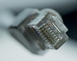 Stecker Ethernet Kabel