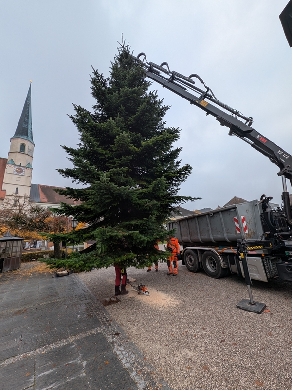 Stadt Altötting, Aufstellung Christbaum am Kapellplatz, Foto: Stadt Altötting