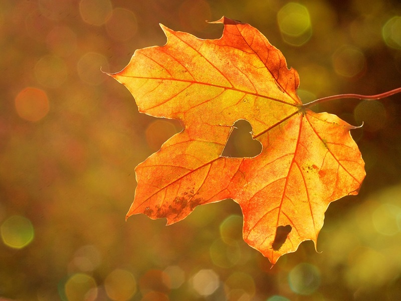 Stadt Altötting, Jetzt wird's Herbst, Foto: Pixabay
