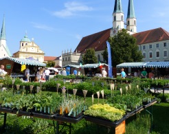 Kräuterstand am Klostermarkt in Altötting.