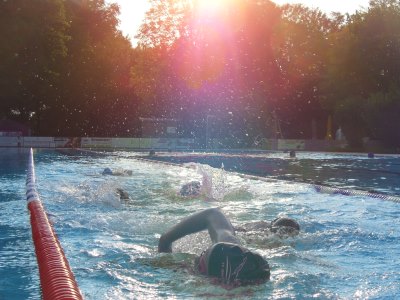 Schwimmer kraulen im Schwimmbecken im Freibad Altötting