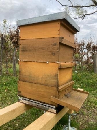 Stadt Altötting, Bienen AG Bienenkasten, Foto: Stadt Altötting