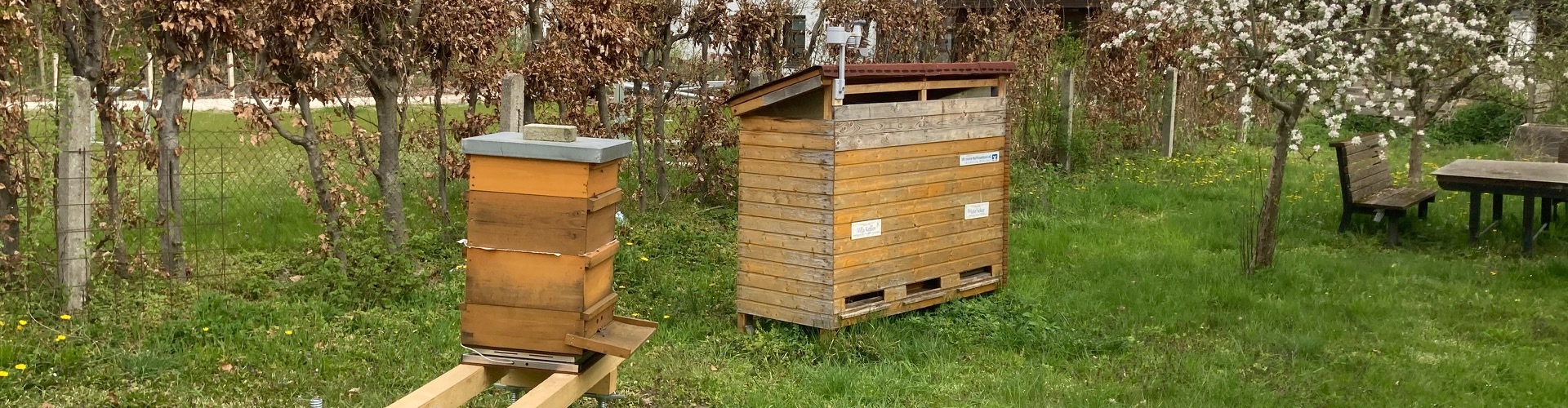 Stadt Altötting, Bienen AG Bienenkästen, Foto: Stadt Altötting