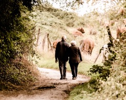 Ein älteres Ehepaar beim Spaziergang in der Natur verdeutlicht das Thema Senioren in Altötting.