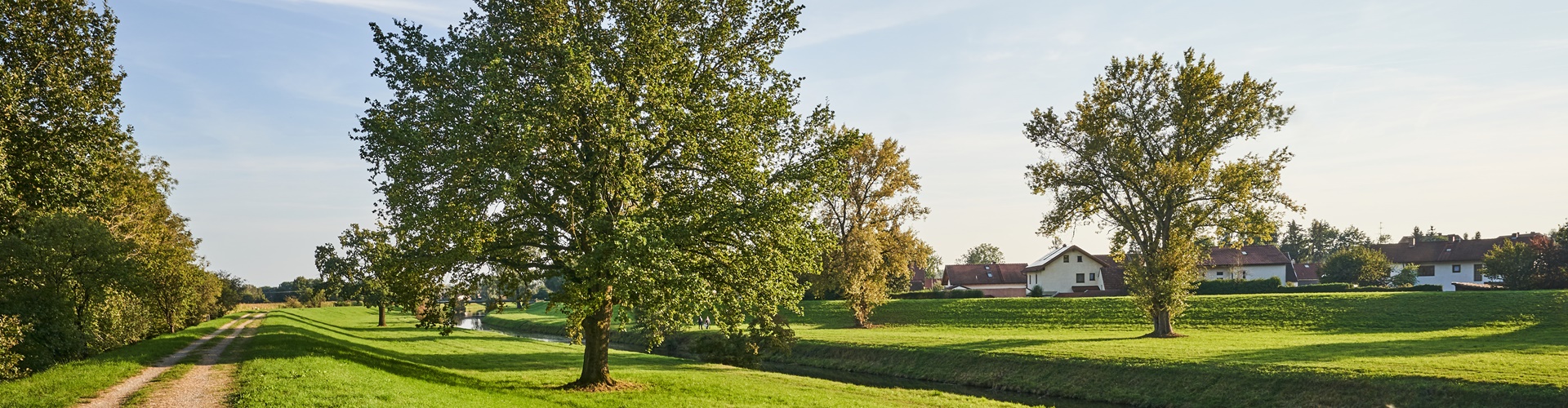 Stadt Altötting, Baum Wolfgangweg Winhöring, Foto: Johann Dirschl