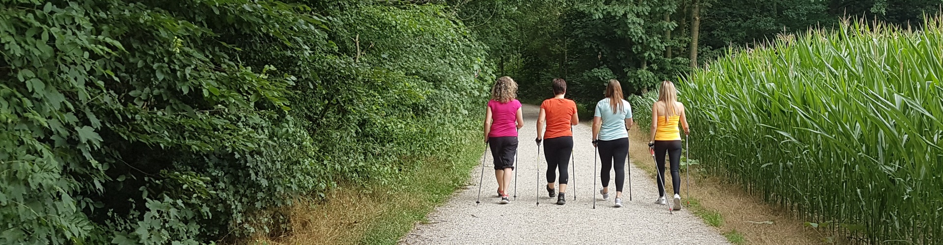 Vier Frauen sind auf dem Trimm Dich Pfad zwischen Wald und Maisfeld beim Nordic Walking.