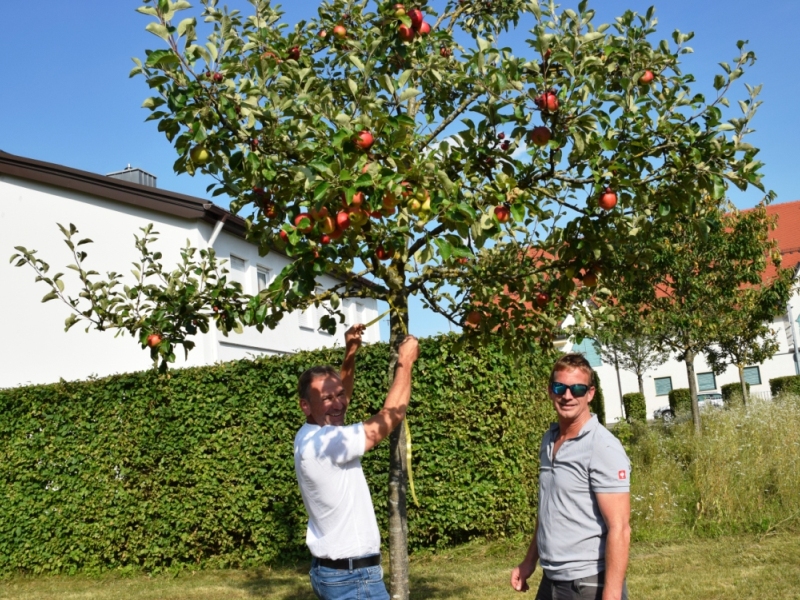 11-08-2021-Aktion-Gelbes-Band-Foto-Stadt-Altoetting-800x600