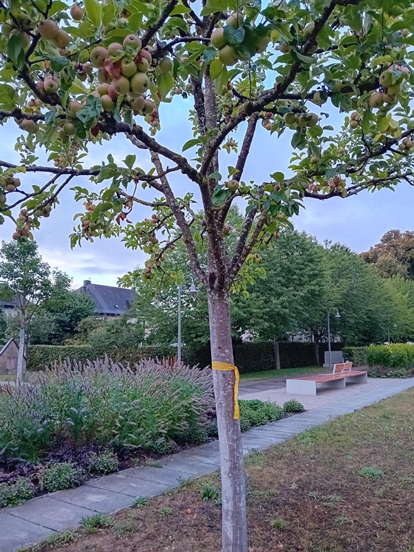 Stadt Altötting, Aktion Gelbes Band, Wiese am Panorama, Foto: Stadt Altötting