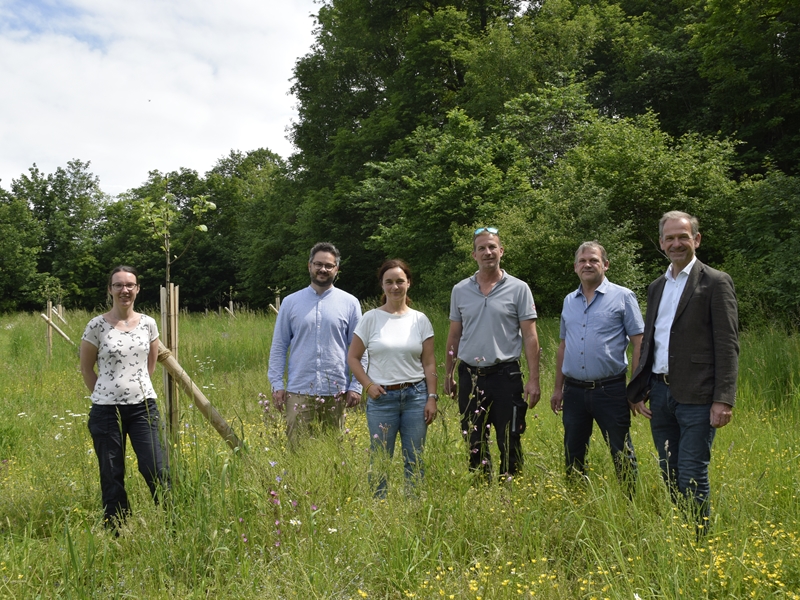 Stadt Altötting, Blühwiese an der Herrenmühle, Foto: Stadt Altötting