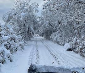 Stadt Altötting, Schneebruch Dezember 2023, Foto Stadt Altötting