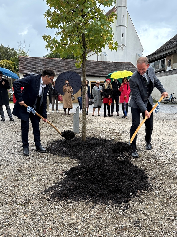 Stadt Altötting, Städtepartnerschaftsfeier Mondsee in Altötting, Oktober 2024, Baumpflanzung, Foto: Stadt Altötting