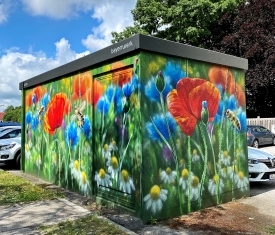 Stadt Altötting, Trafostation Blühende Wiese Hier sehen Sie die bemalte Trafostation mit der blühenden Wiese.