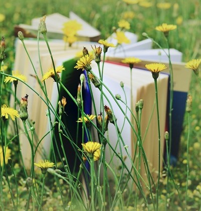 Bücher stehen offen aufgeschlagen im Gras. 