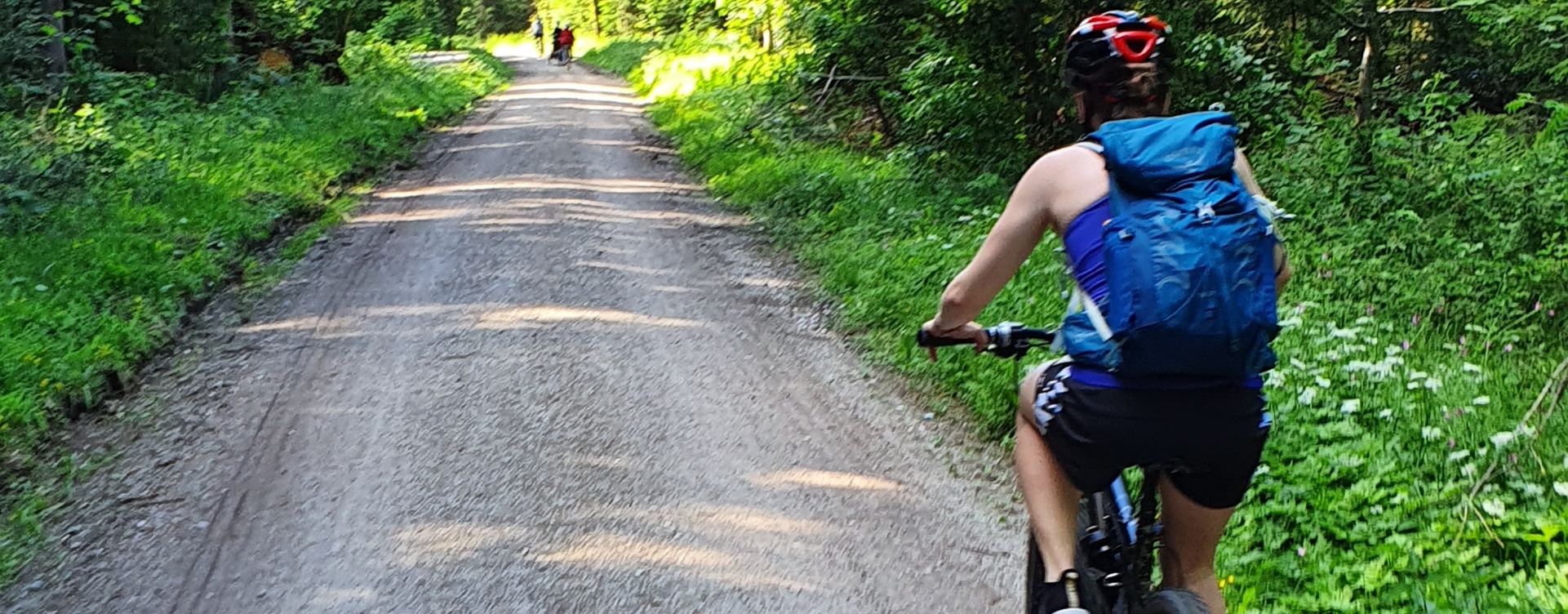 Radweg im Öttinger Forst