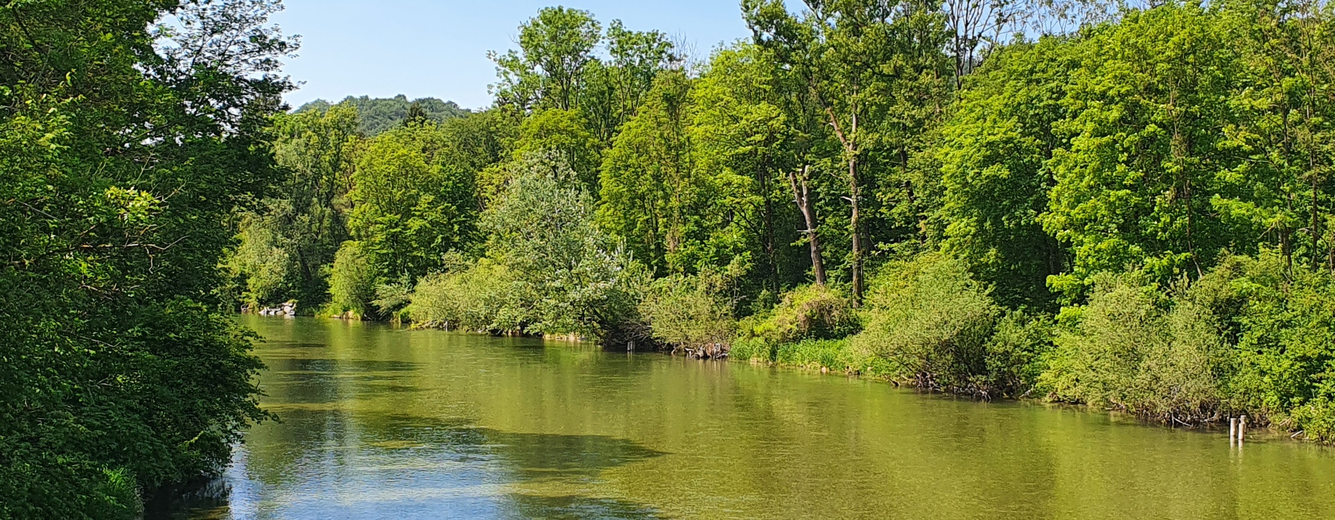 Hier sehen Sie eine schöne Landschaft an der Alz