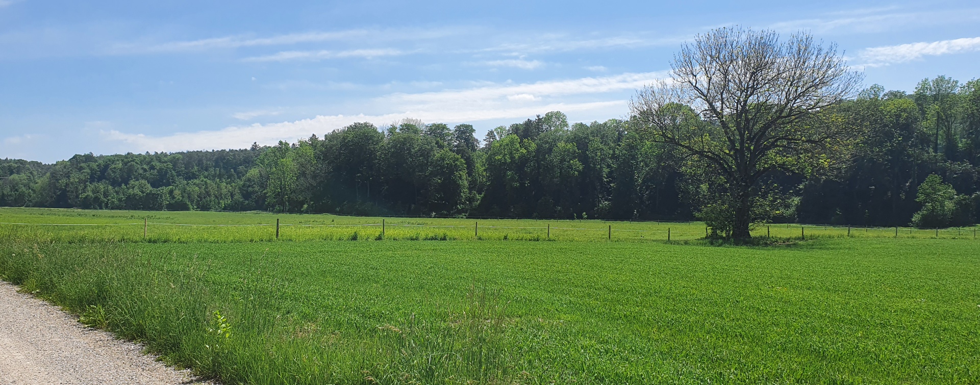 Hier sehen Sie eine schöne Landschaft an der Geo Tour 