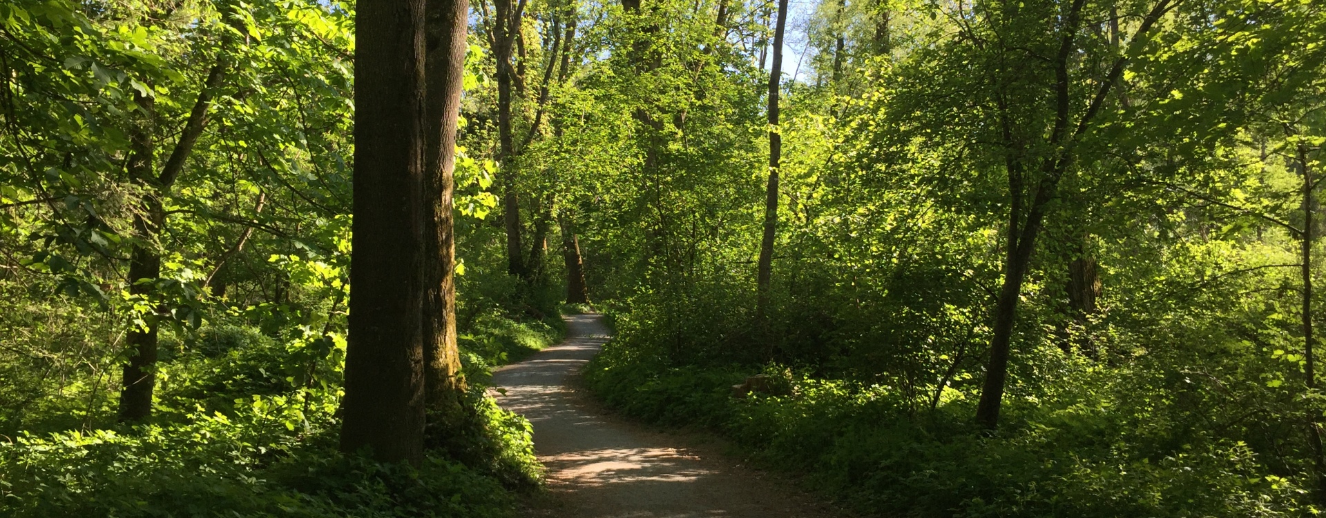 Hier sieht man den Naturerlebnisweg 