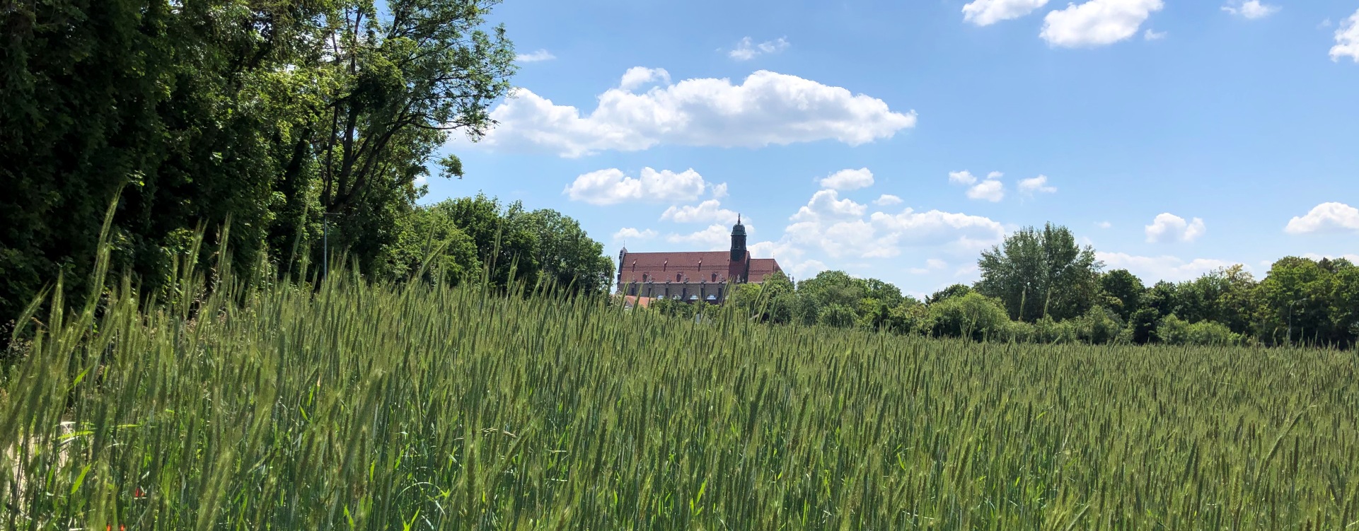 Basilika St. Anna von der Osterwiese aus der Ferne zu sehen