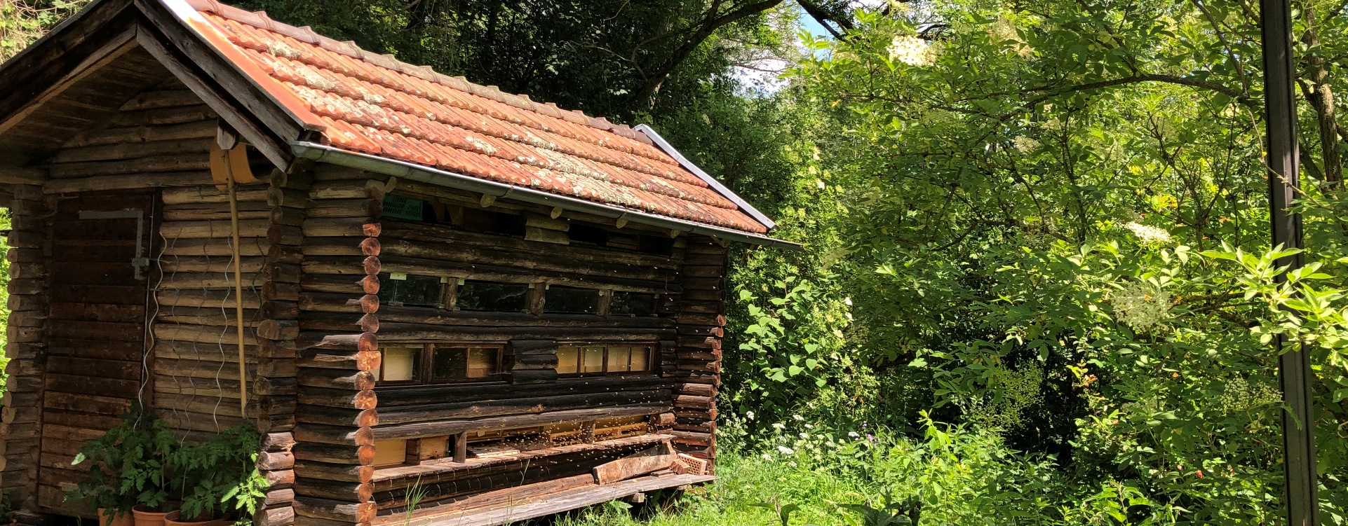 Bienenhaus in Engfurt am Waldrand