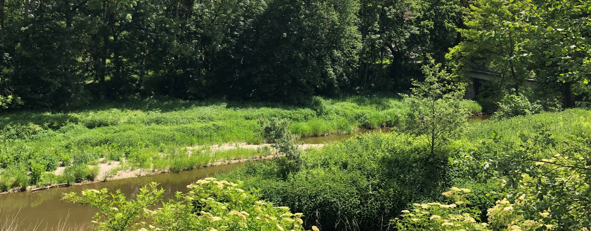 Flusslandschaft in Engfurt an der Isen