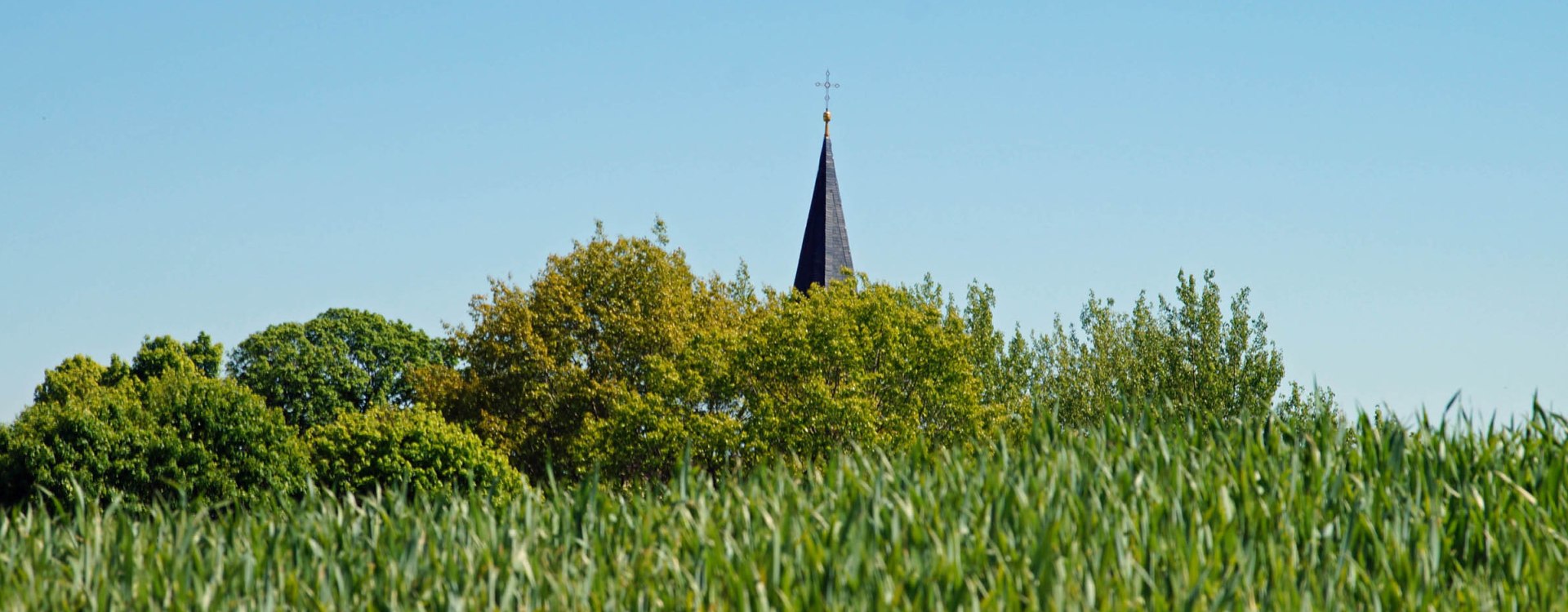 Kirchturm hinter Felder und Büschen Versteckt
