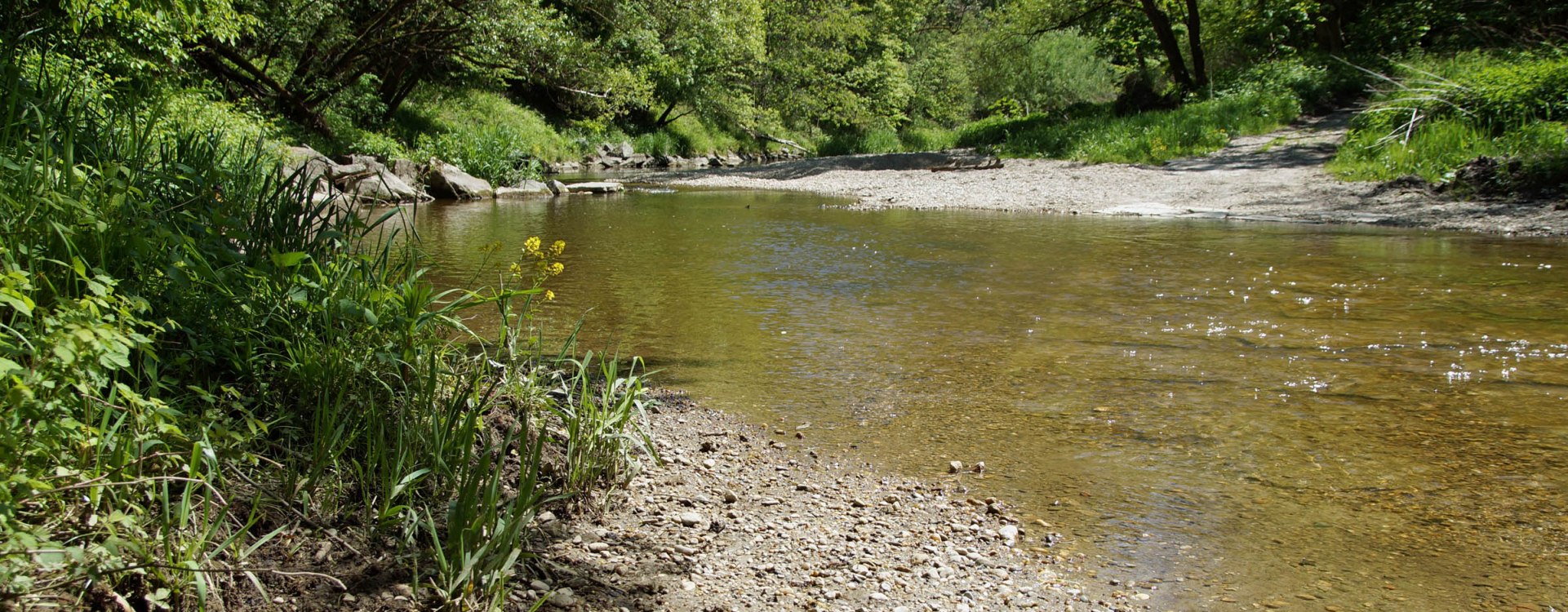 Mahlerische Landschaft an der Isen