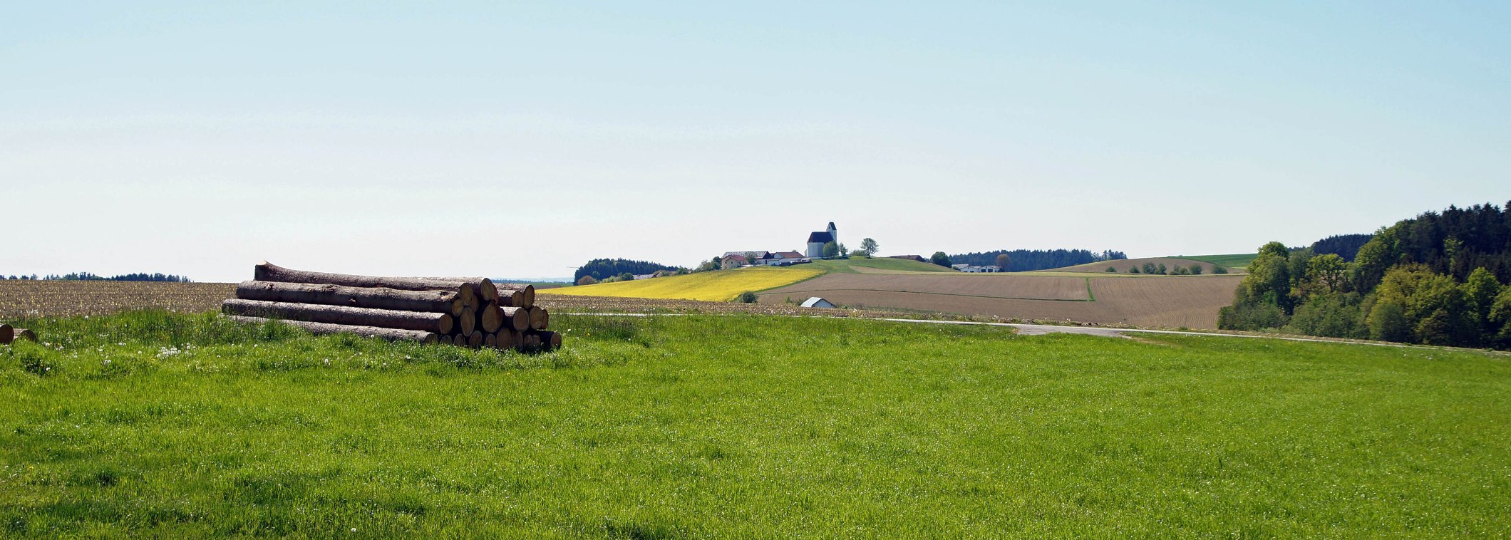 Typische Landschaft mit Felder, Büschen und Baumstämmen aus dem Holzland