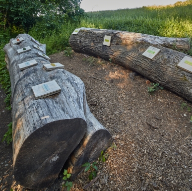 Altötting Naturlehrpfad Gries, Foto Dirschl Hier sehen Sie eines der 10 Mitmach- Stationen