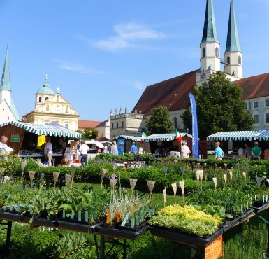 Der Altöttinger Klostermarkt mit den vielen Kräutern.