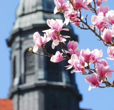 Ein Osterzweig mit der Kirche im Hintergrund in Altötting.