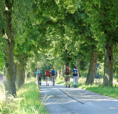 Eine kleine Pilgergruppe geht durch eine Allee auf dem Weg nach Altötting.