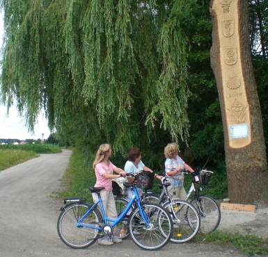 Radler betrachten den Pilgerbaum am Pilgerweg von Heiligenstatt nach Altötting, Foto Remmelberger