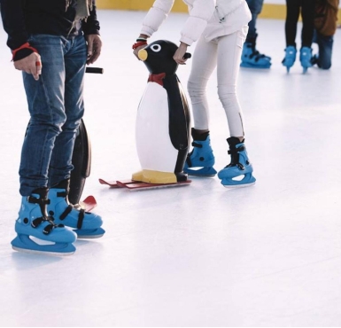 Bild von der Eisbahn in Altötting mit Pinguin