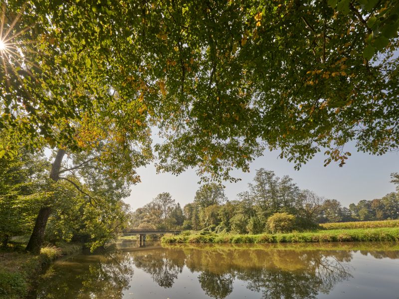 Hier sehen Sie ein Stück am Engfurter Weg
