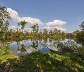 Engfurter Weg Silbersee am Inn Richtung Altötting Foto Johann Dirschl Hier sehen Sie ein Stück am Engfurter Pilgerweg