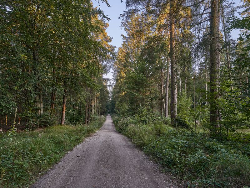 Hier sehen Sie ein Teilstück des Marienwanderwegs 